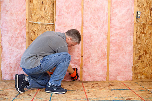 Best DIY Insulation Kits and Guidance in Prairie Heights, WA